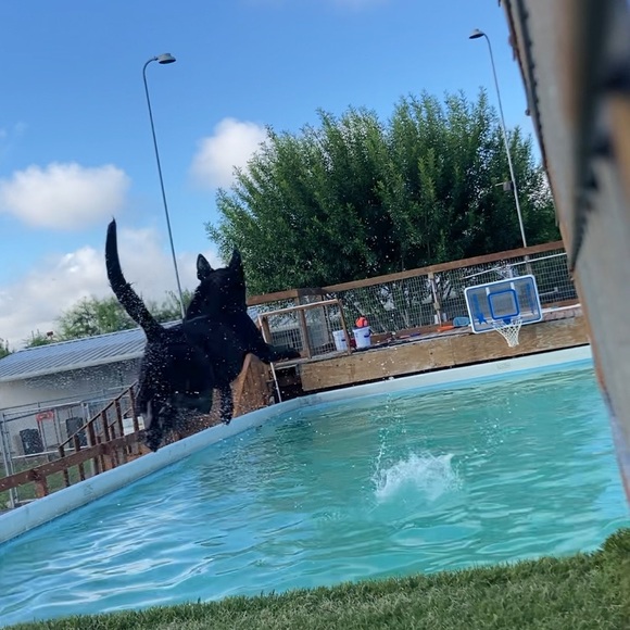 SC - Picture 15 of 17